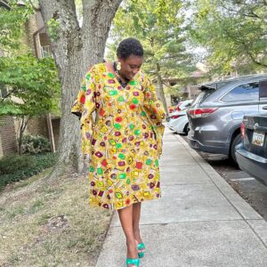 MULTI MINI VNECK DRESS